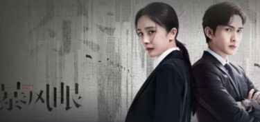 暴風眼-特命捜査官-のあらすじやキャストは?相関図やネタバレも!