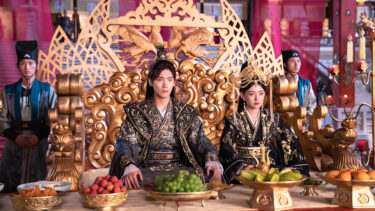 中国ドラマはTSUTAYAの宅配レンタルがおすすめ!メリットやデメリットを調査!