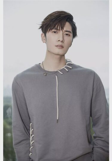 リウ・ハイクアン(劉海寬)の経歴やプロフィールは!?彼女や結婚も!