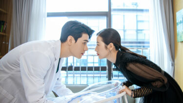 華麗なる契約結婚のあらすじやキャストは？感想やネタバレも！