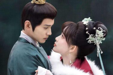 花令嬢の華麗なる計画のあらすじやキャストは？感想やネタバレも！