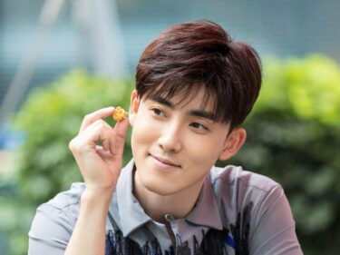 チャン・ルイ(張睿)の経歴やプロフィールは?おすすめドラマ作品も!